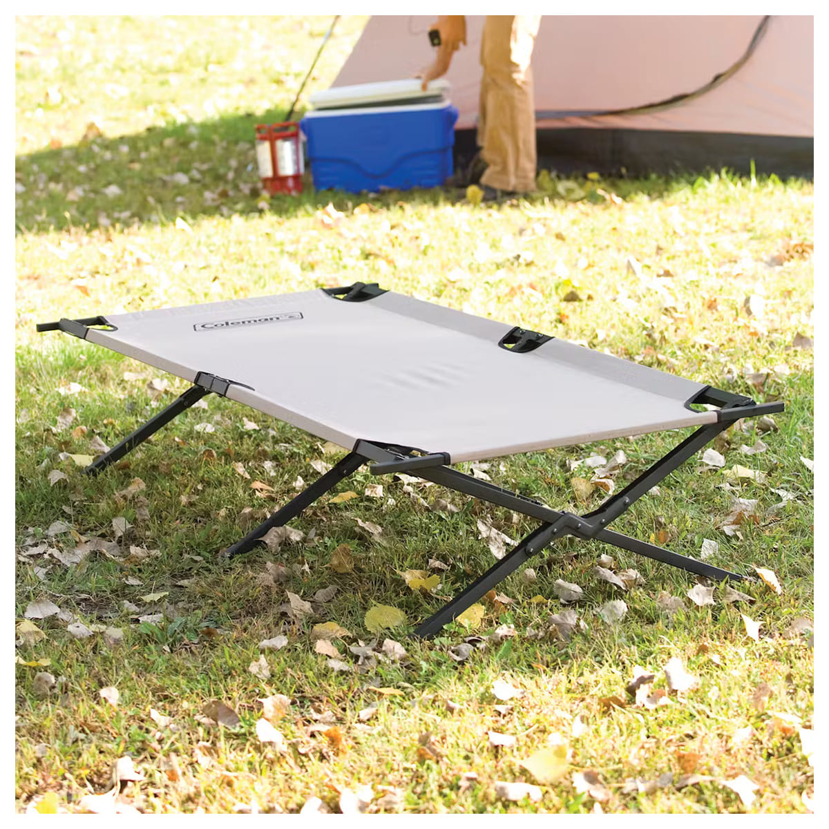 Coleman Trailheadâ„¢ II Camping Cot