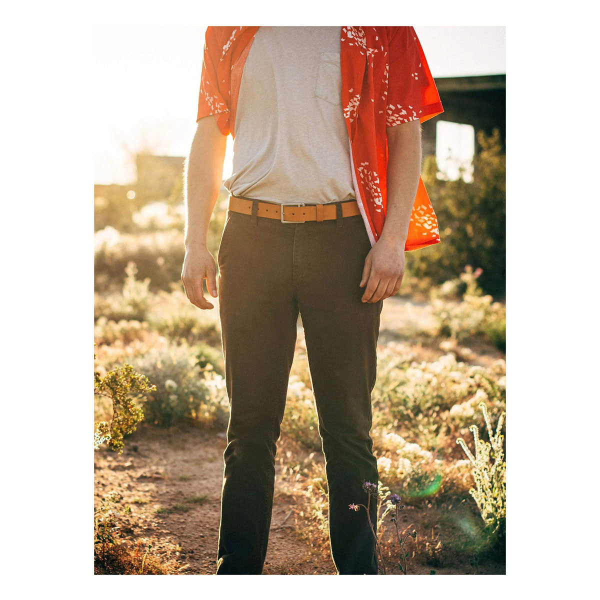 Arcade Padre Tan Leather Belt M