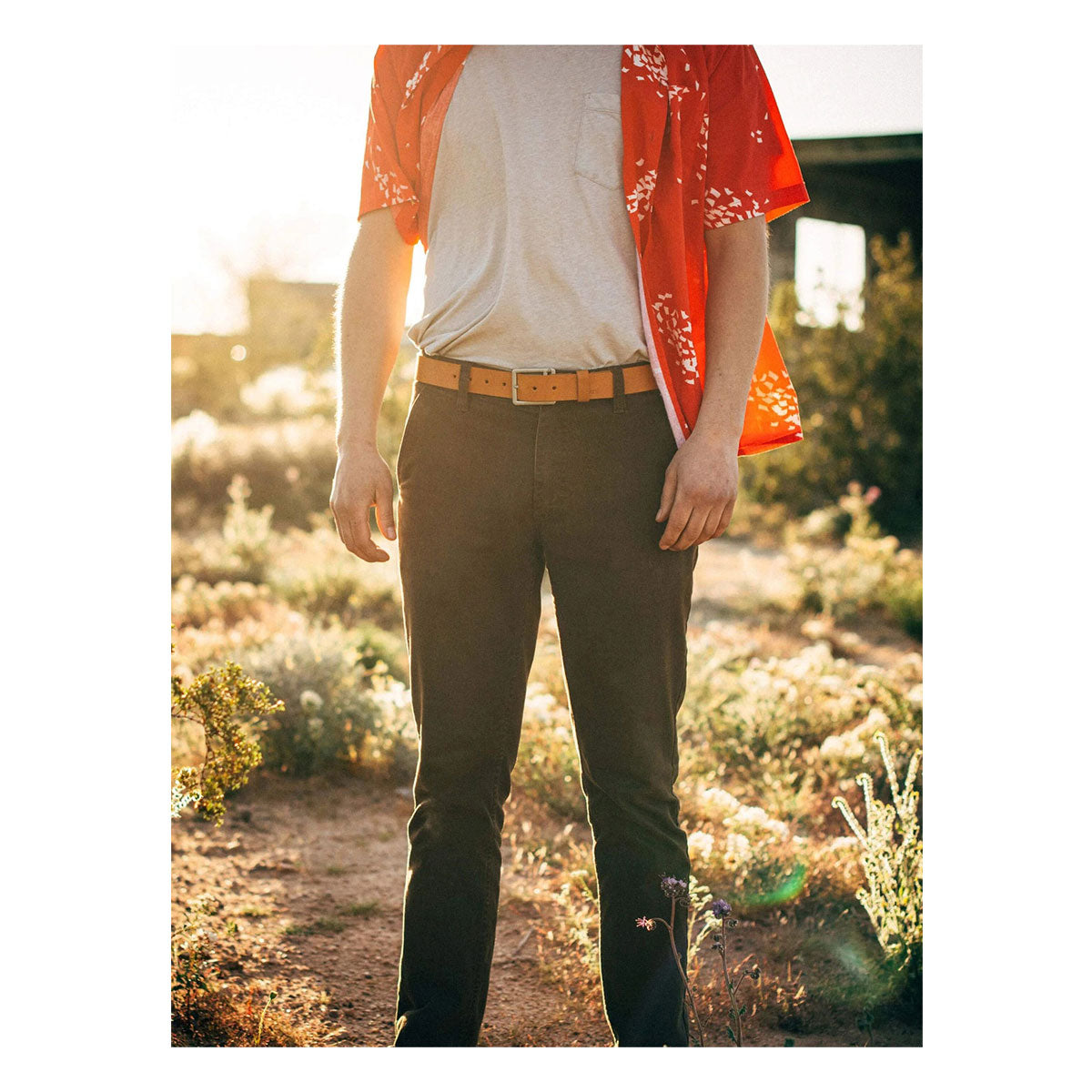 Arcade Padre Tan Leather Belt L