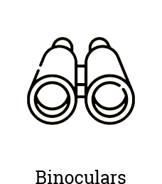 Steiner 8X30 Sagor Ii Binocular (5815)