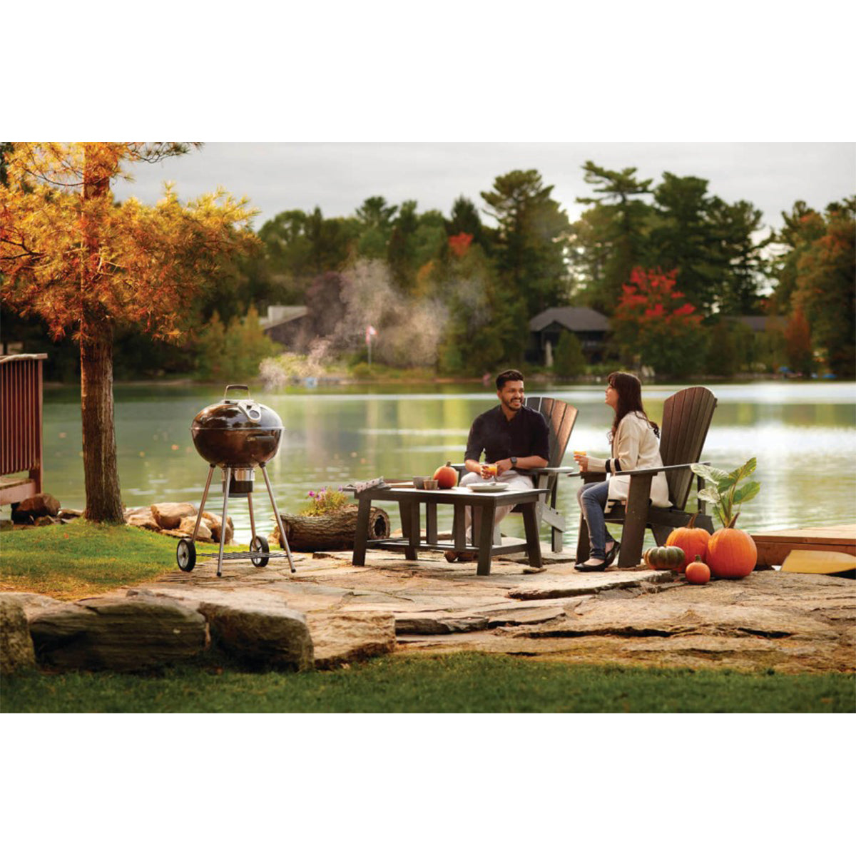 Napoleon 22" Charcoal Kettle Grill, Black