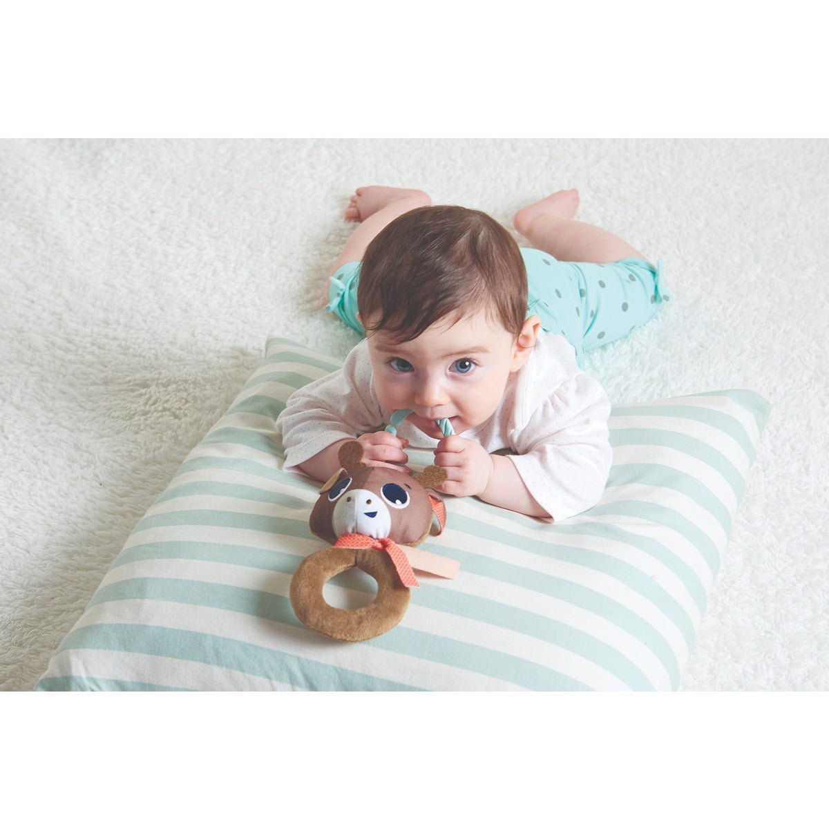 Tiny Love TINY SMART RATTLE ALEX POLAR WONDERS - 0M+ Hanging / Stoller Toy