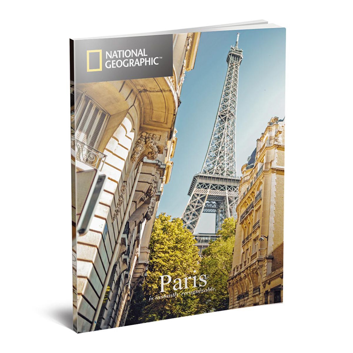 Cubic Fun 3D Puzzle Eiffel Tower 80Pcs