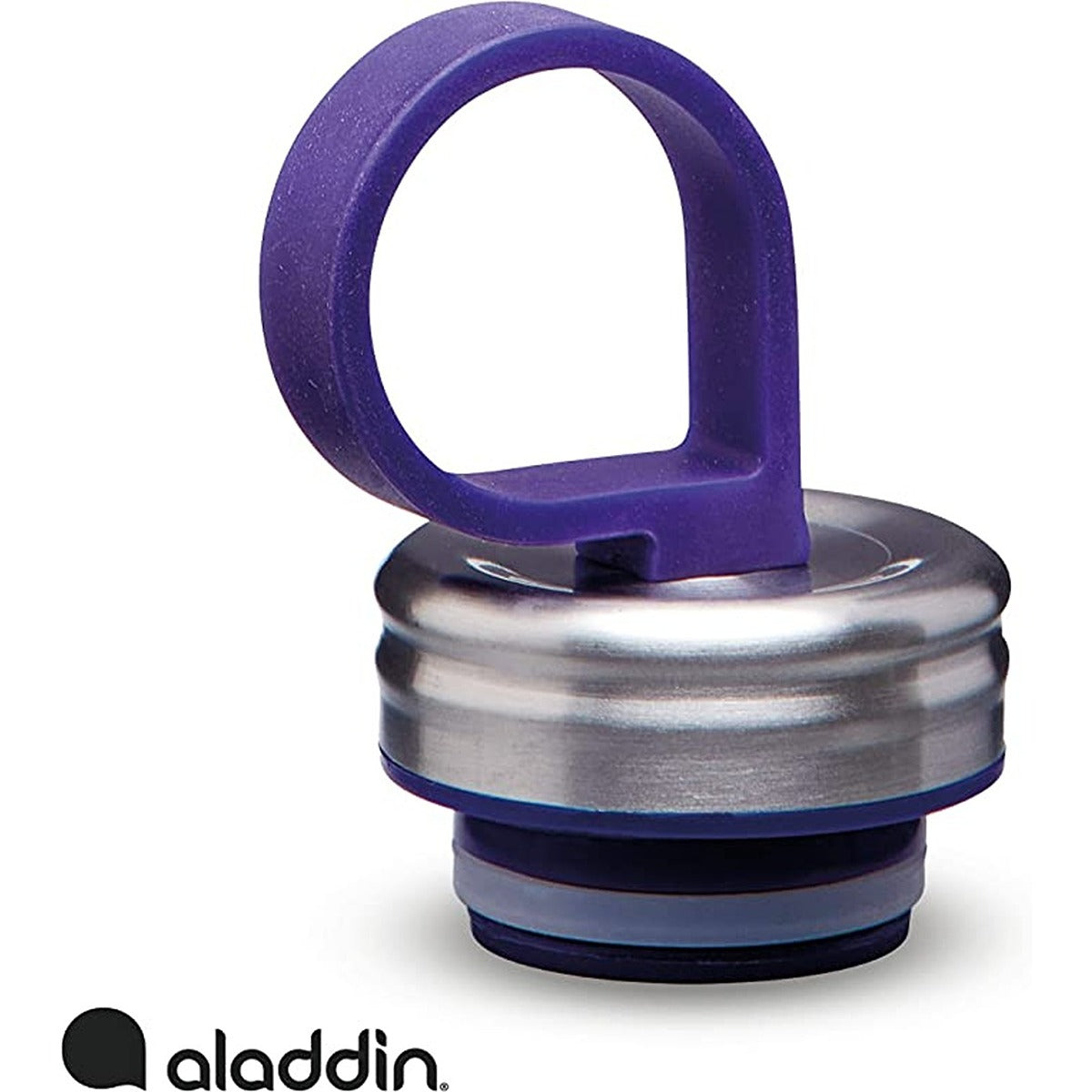 Aladdin Chilled Thermavac Wtr Btl 0.55L Riverside Indigo