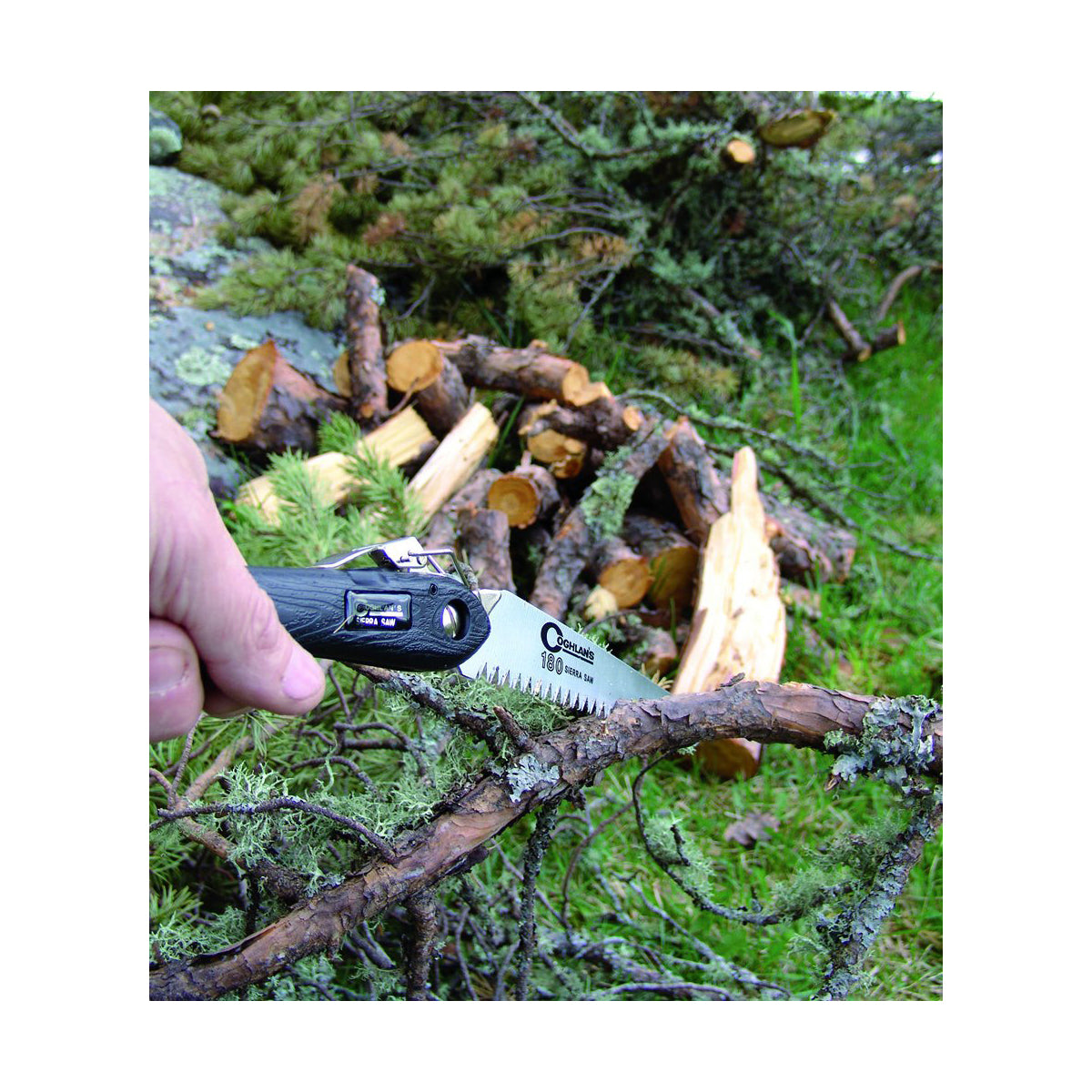 Coghlans Sierra Saw.