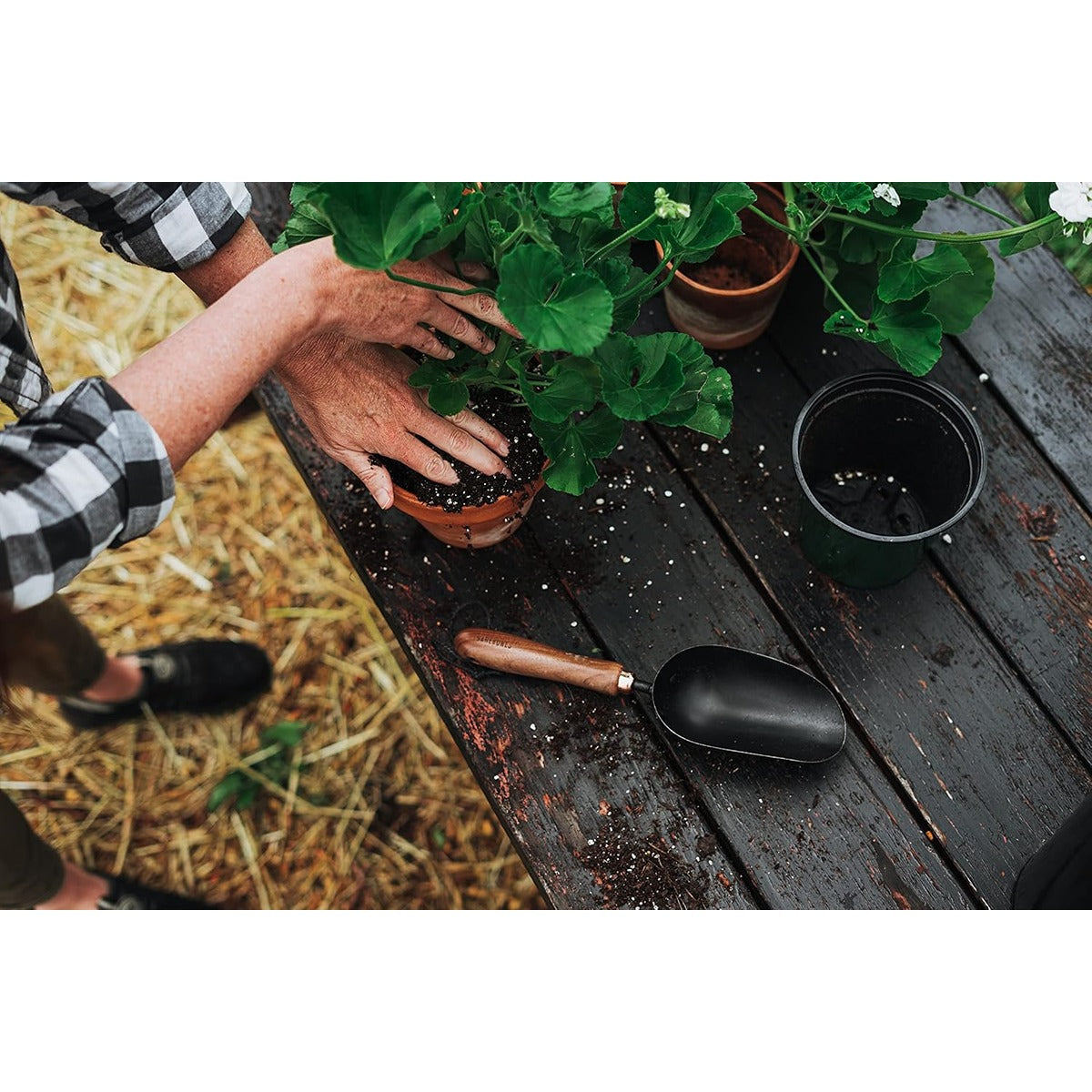 Barebones Garden Scoop - Walnut-Black