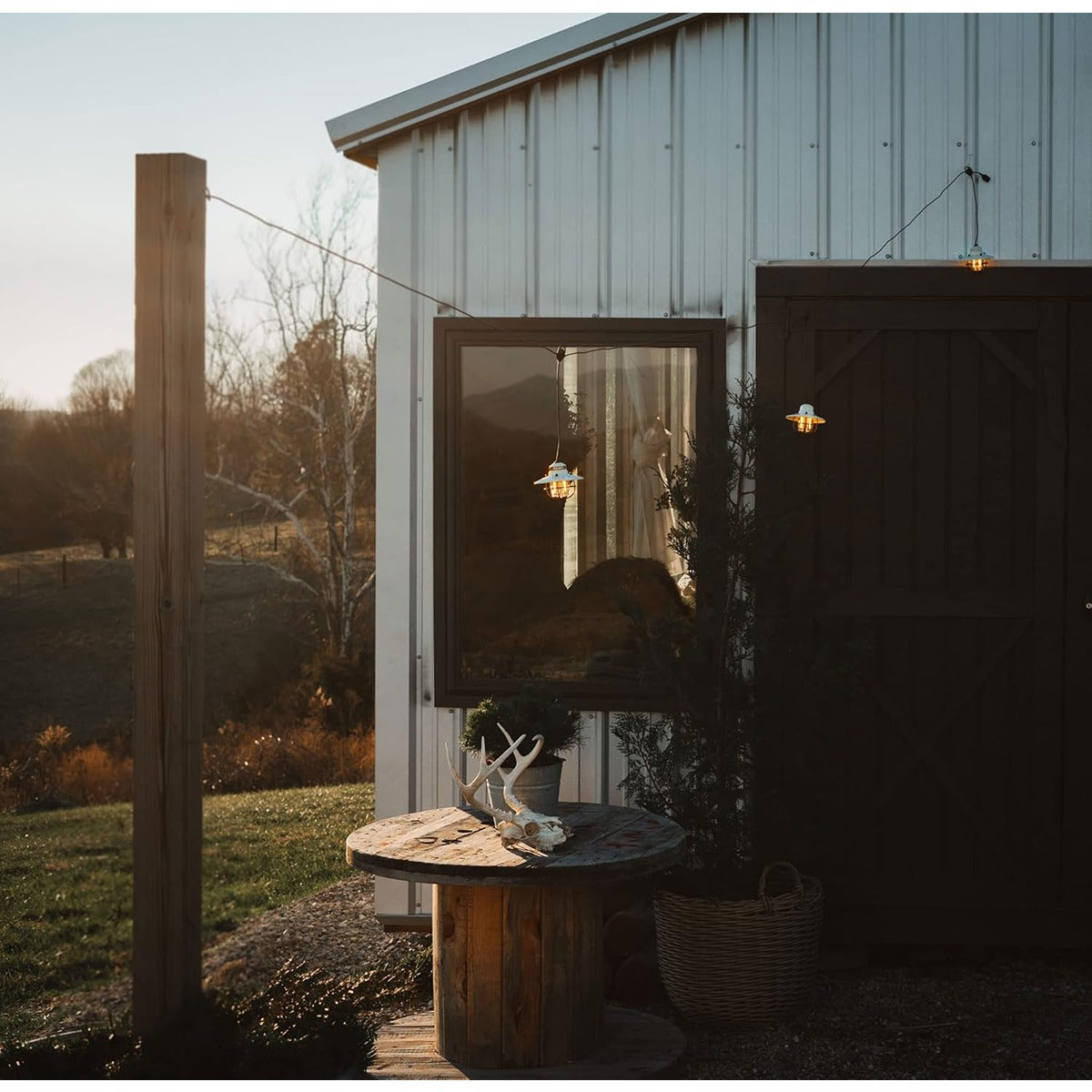Barebones Edison Pendant Light (Vintage White)