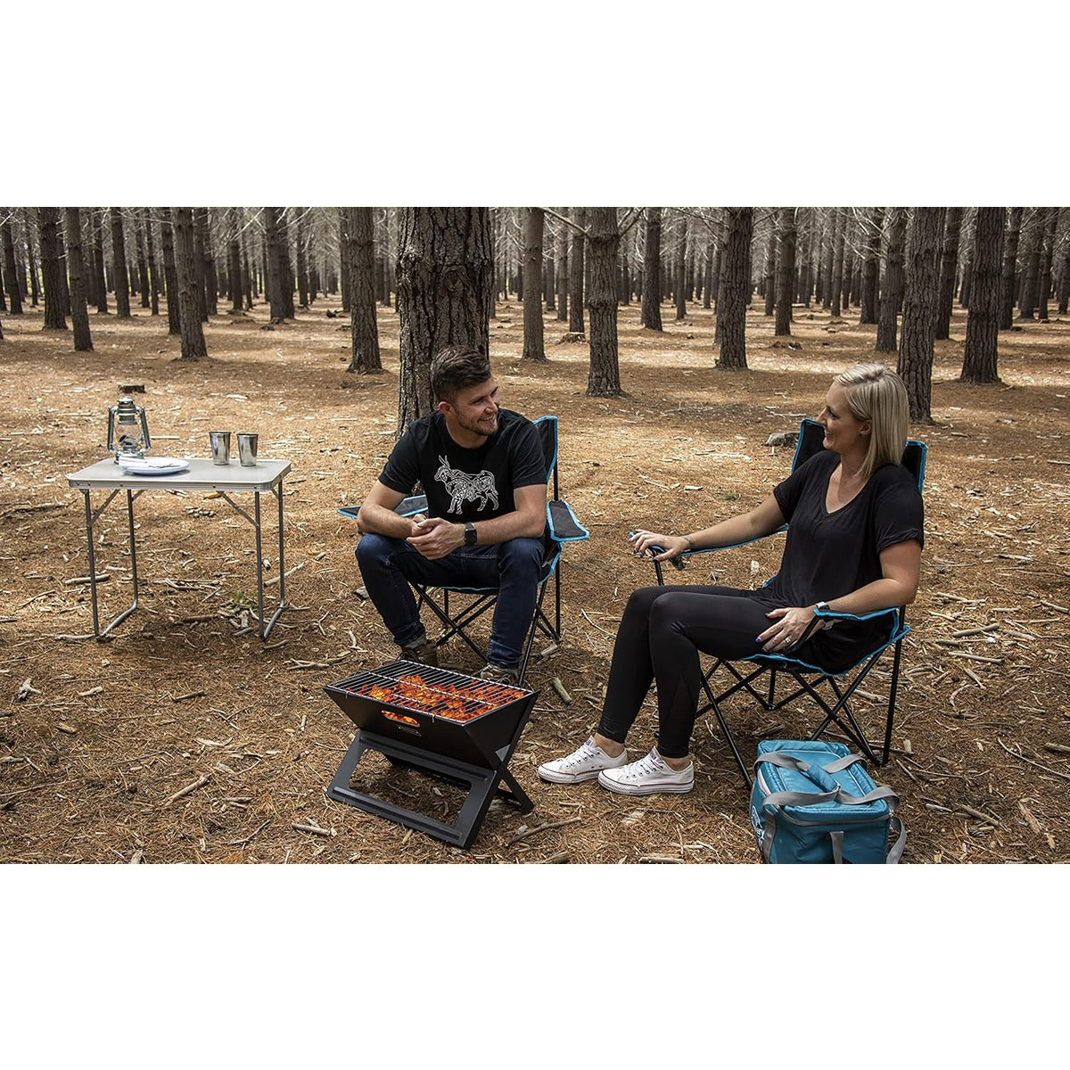 Discovery Discovery 350 Camping Chair