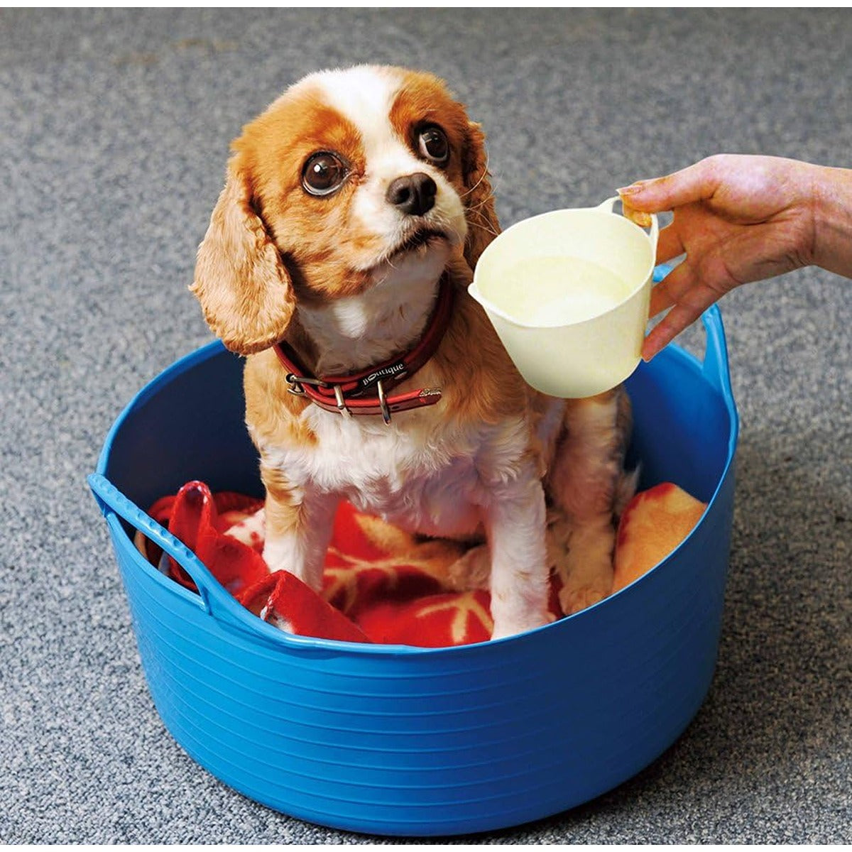 Red Gorilla Red Gorilla - Small Shallow 15L - Red