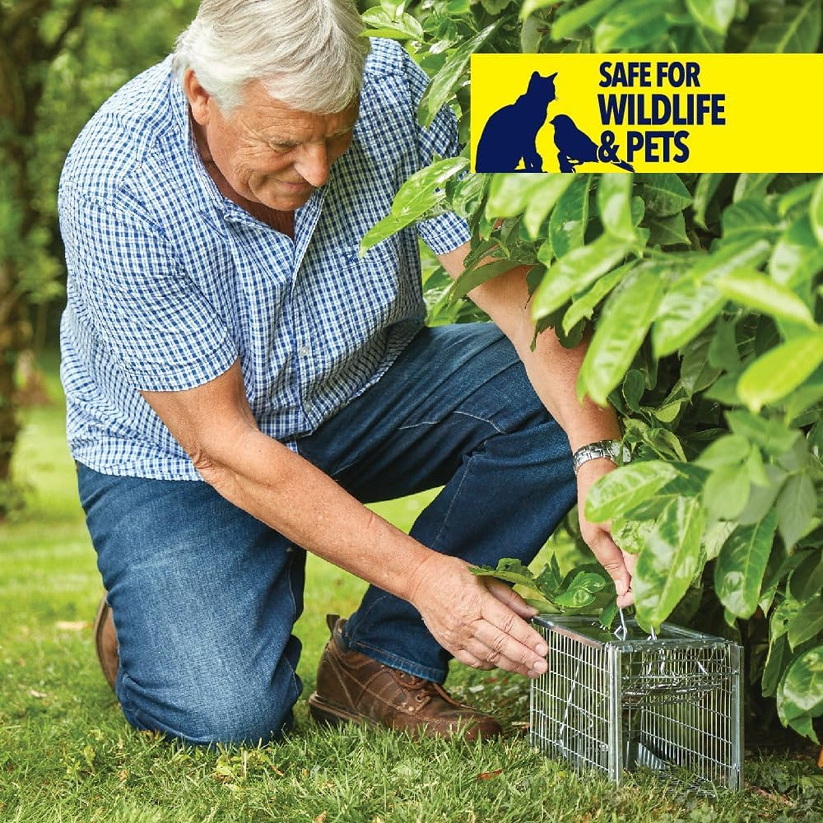 Stv Live Rat & Small Animal Cage Trap