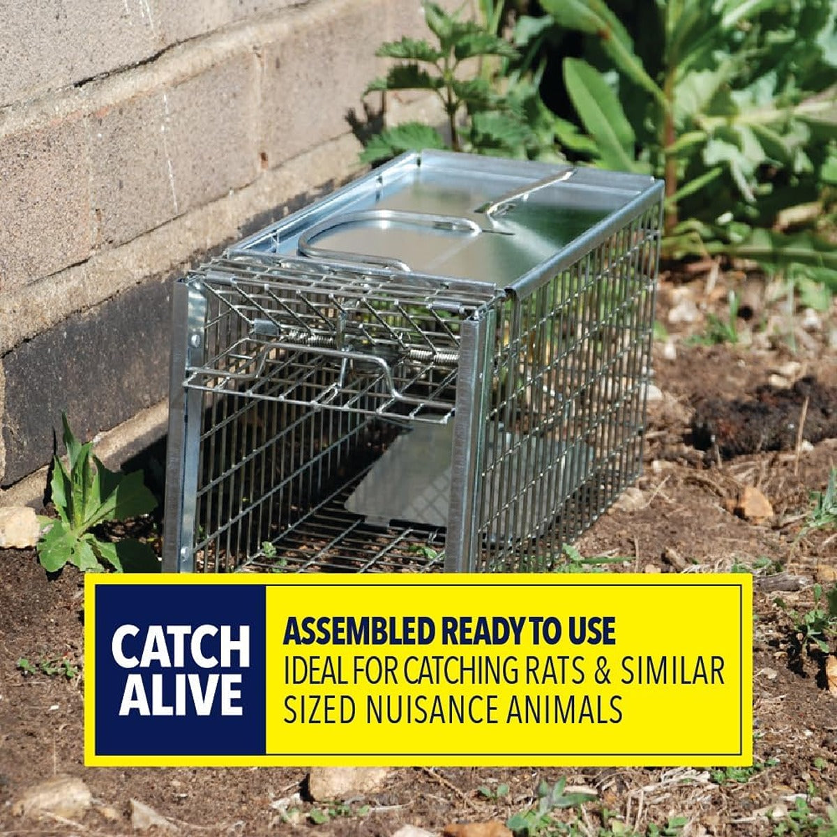 Stv Live Rat & Small Animal Cage Trap