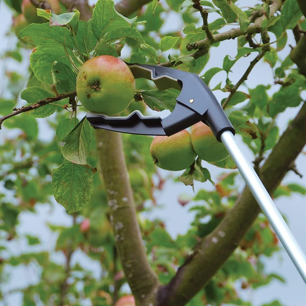 Stv Grip N" Grab Picker