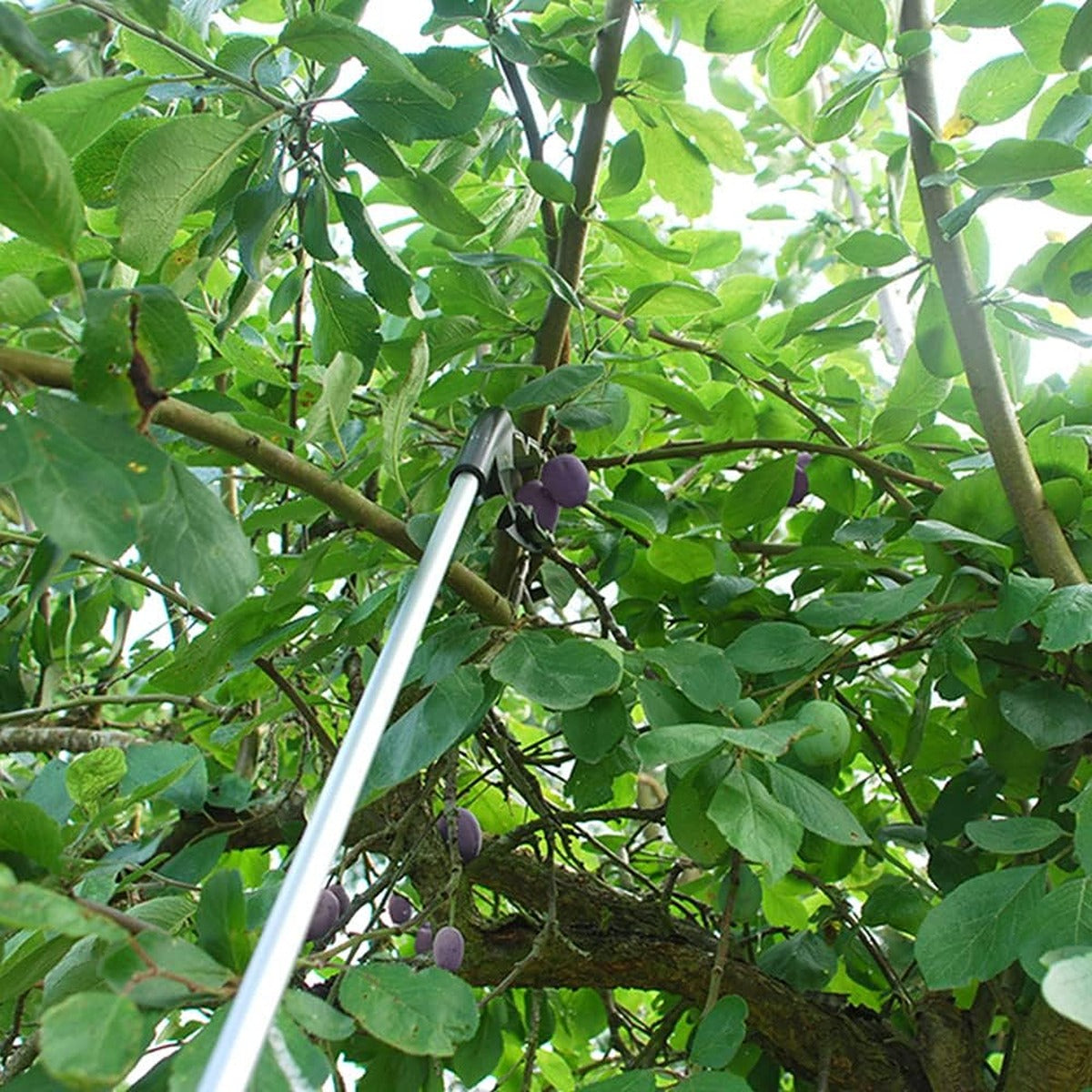 Stv Grip N" Grab Picker