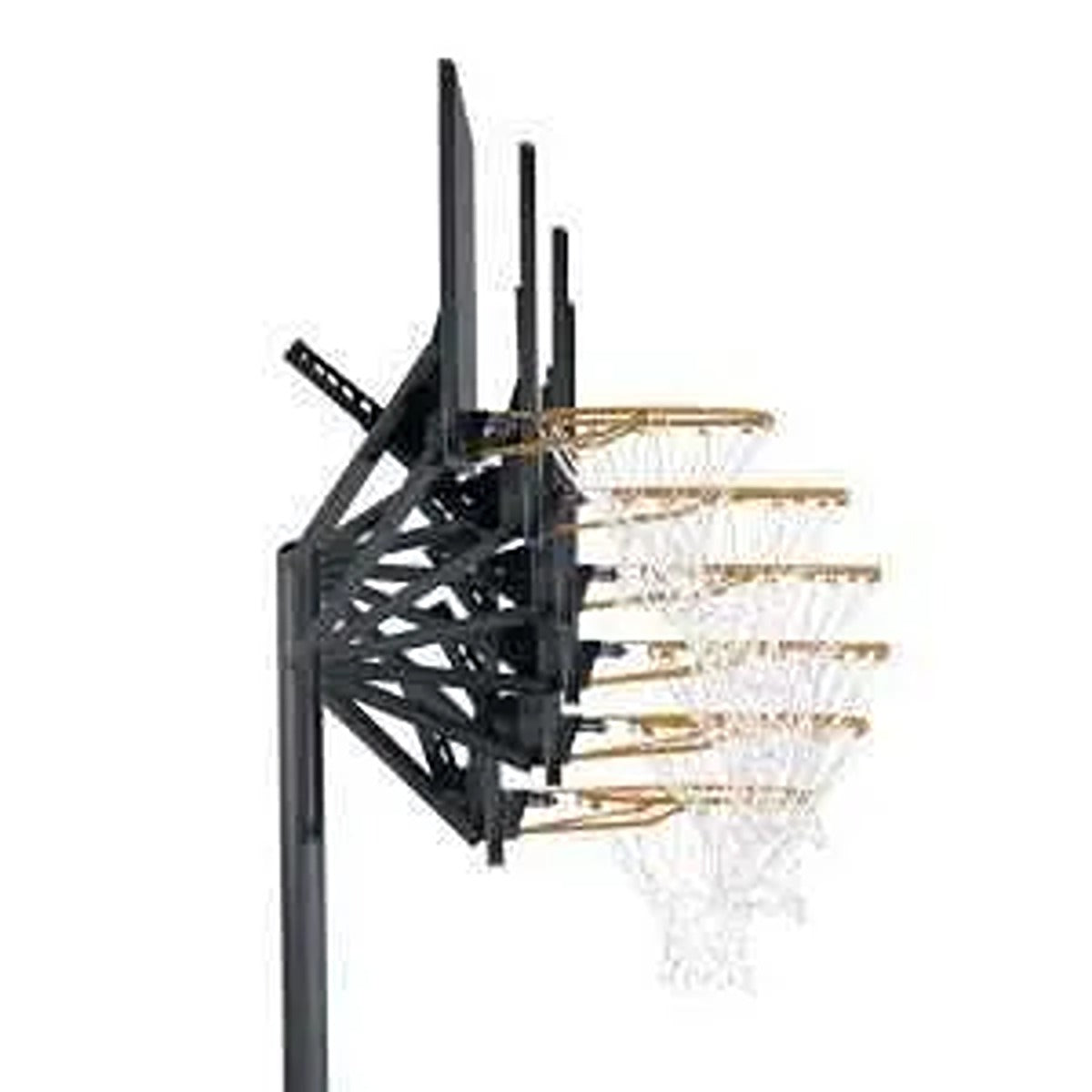 Lifetime Basketball, Courtside Portable, Quick Adjust 11 , Classic 90584
