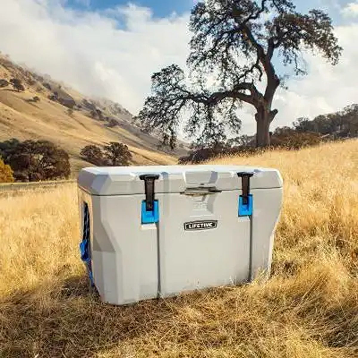 Lifetime Cooler, 77 Quart, Boulder Gray