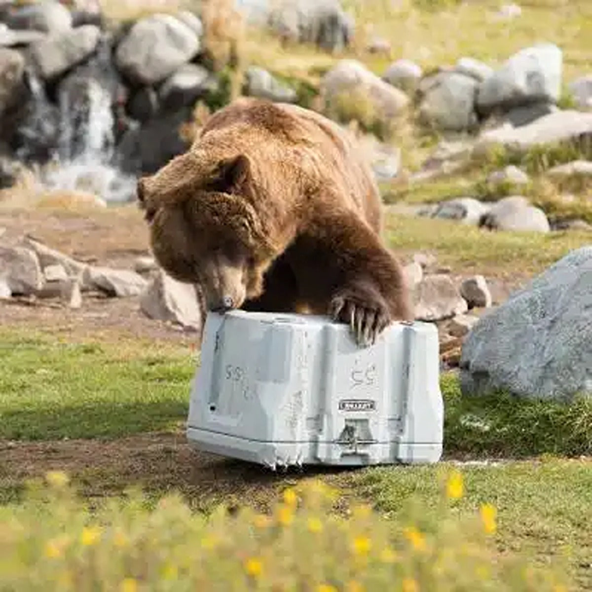 Lifetime Cooler, 55 Quart, Boulder Gray