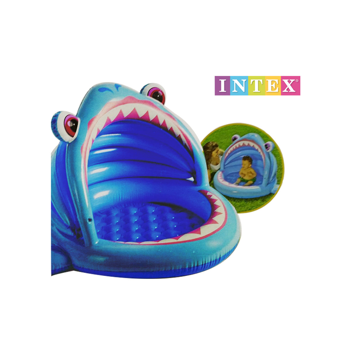 Intex Shark Baby Pool
