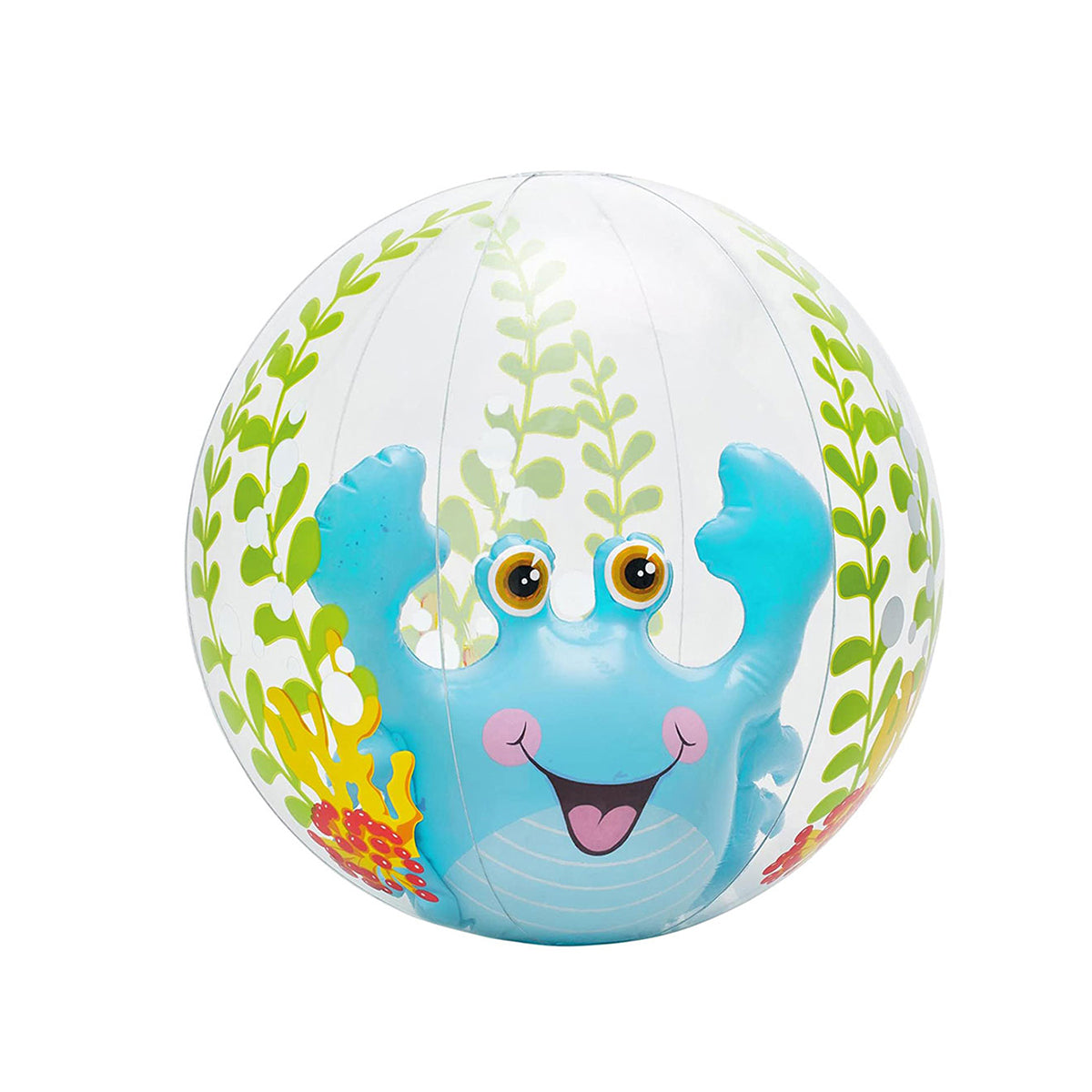 Intex Aquarium Beach Ball