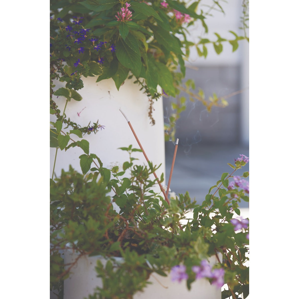 Gentlmens Hardware Garden Incense & Holder