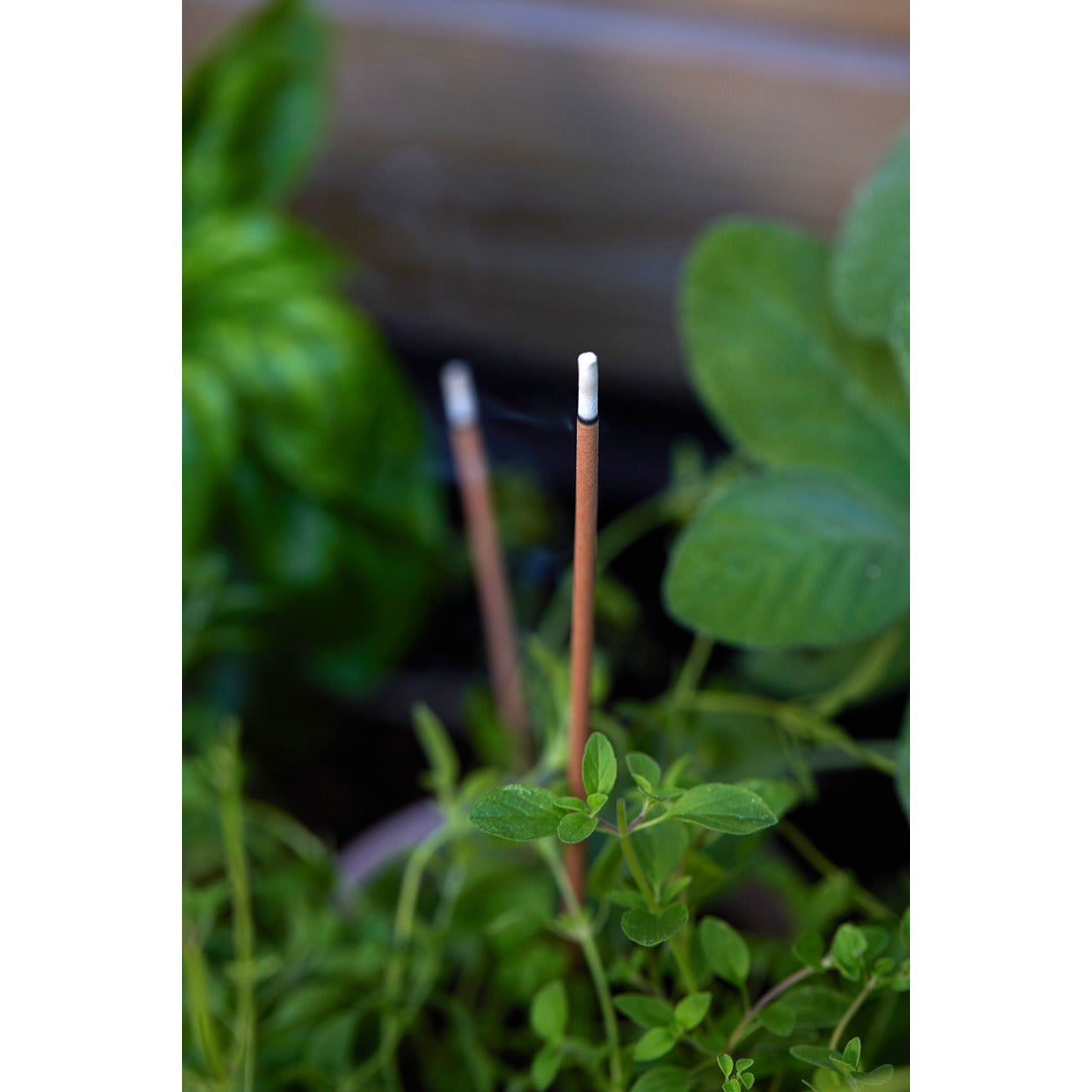 Gentlmens Hardware Garden Incense & Holder