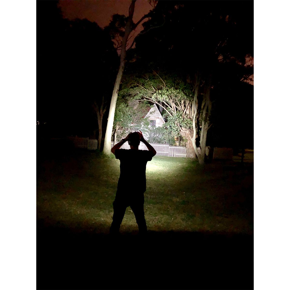 Ledlenser MH11 Blue Window Box