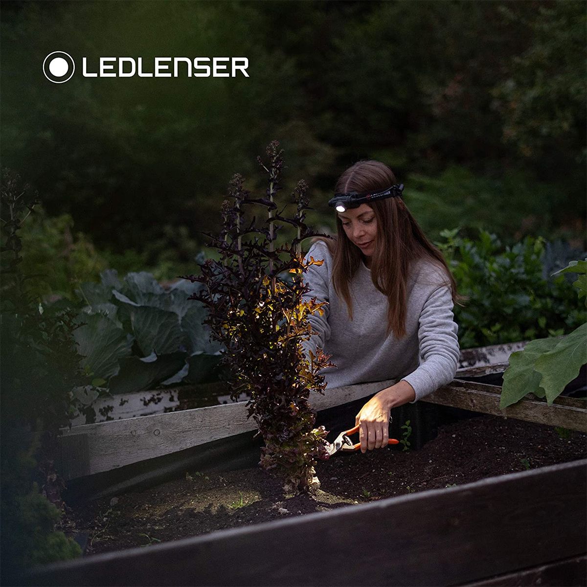 Ledlenser Ledlenser H5R Core Box Headlamp