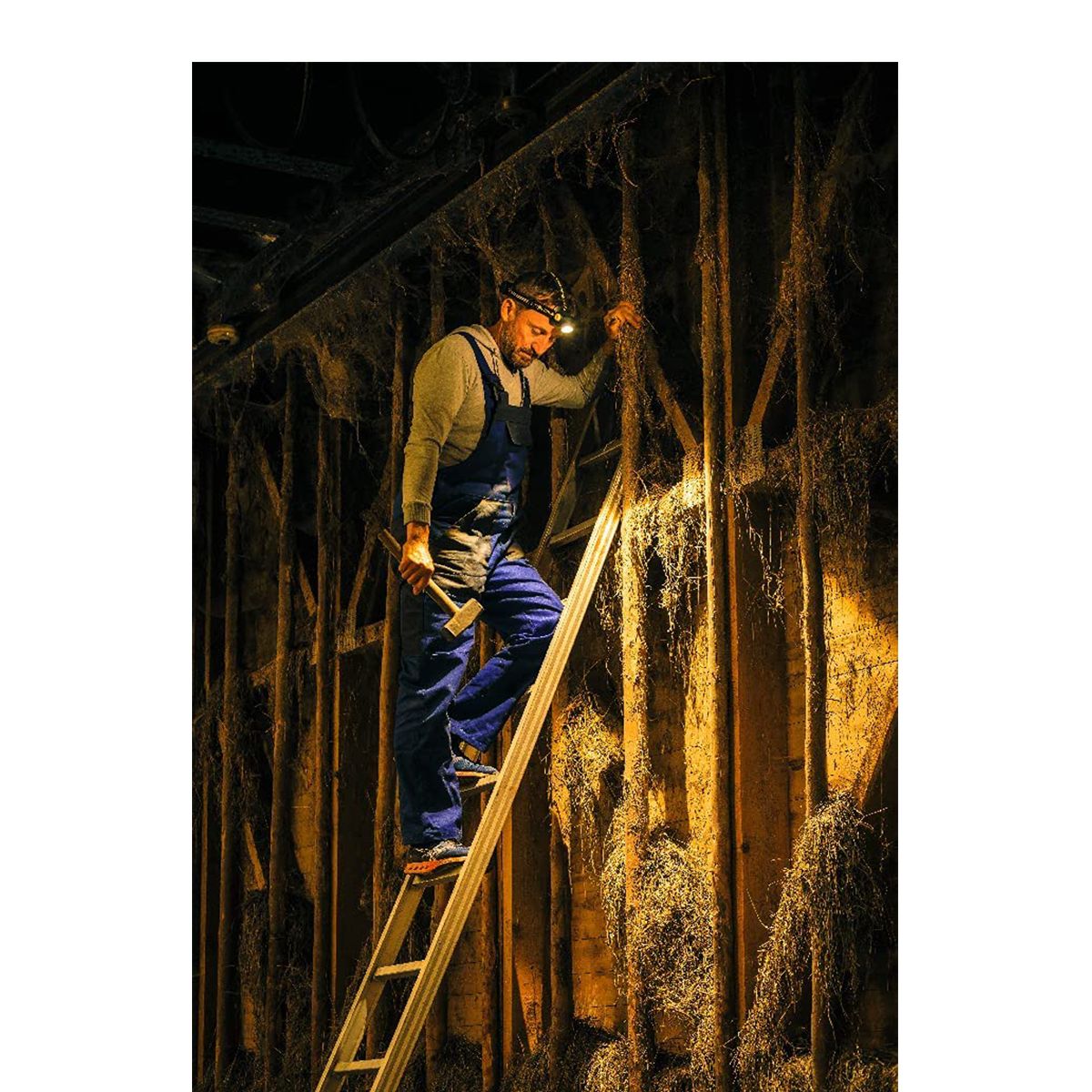 Ledlenser H7R Work 1000 Lumen Headlamp