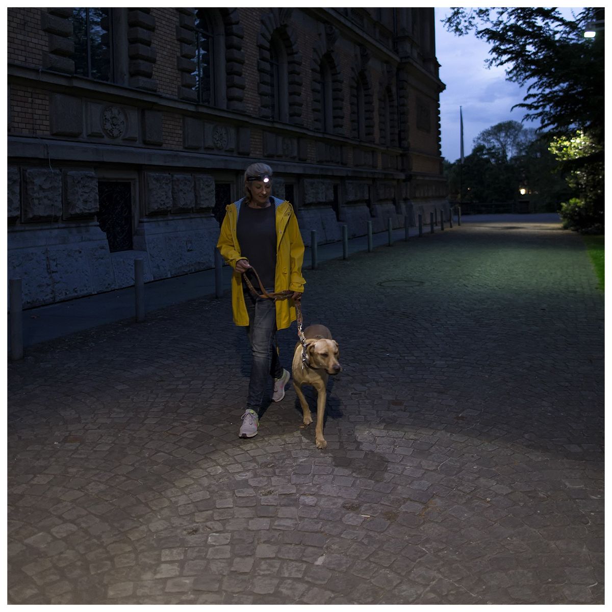 Ledlenser H7.2, 1xC-LED white,4xAAA batteries TEST IT clam pack