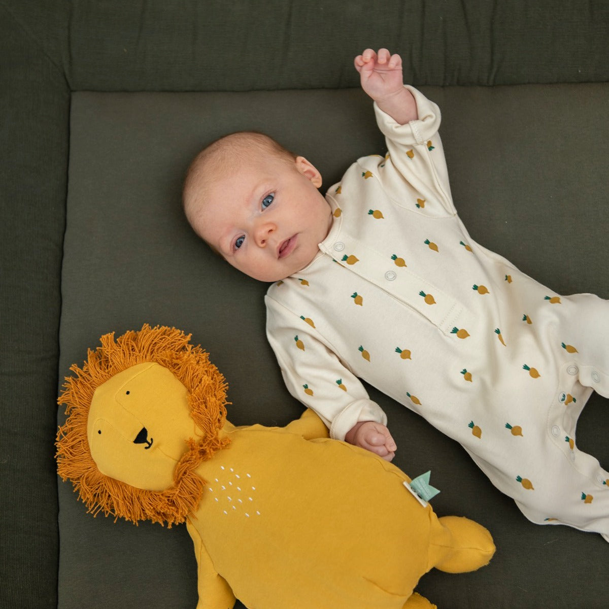 Trixie Plush Toy Small - Mr. Lion (26cm)