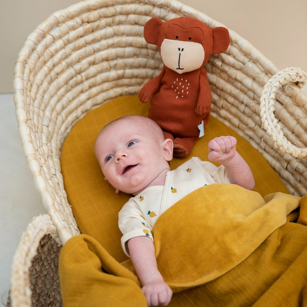 Trixie Plush Toy Small - Mr. Monkey (26cm)