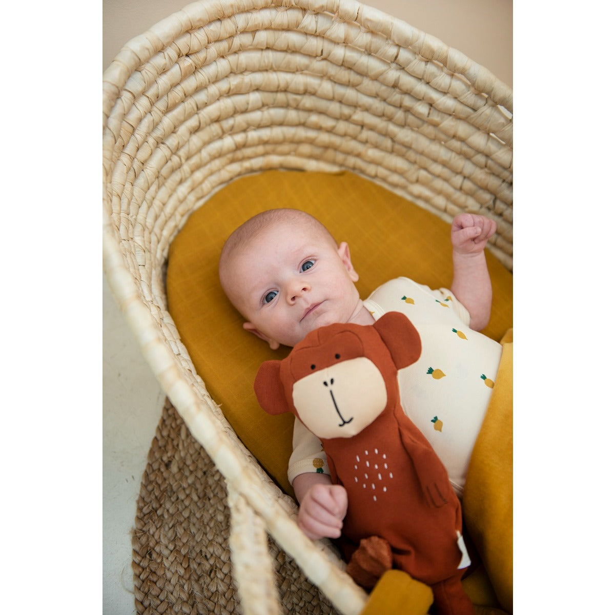 Trixie Plush Toy Small - Mr. Monkey (26cm)