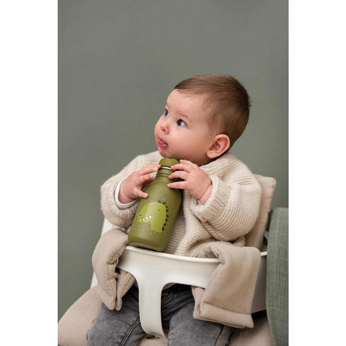 Trixie Bottle 350ml - Mr. Dino