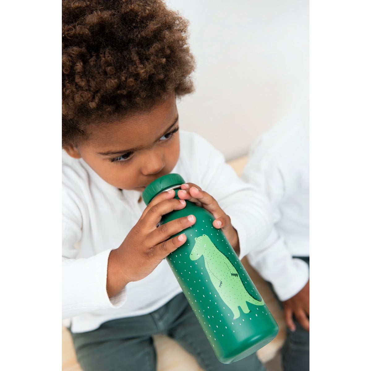 Trixie Bottle (500ml) Mr. Croccodile