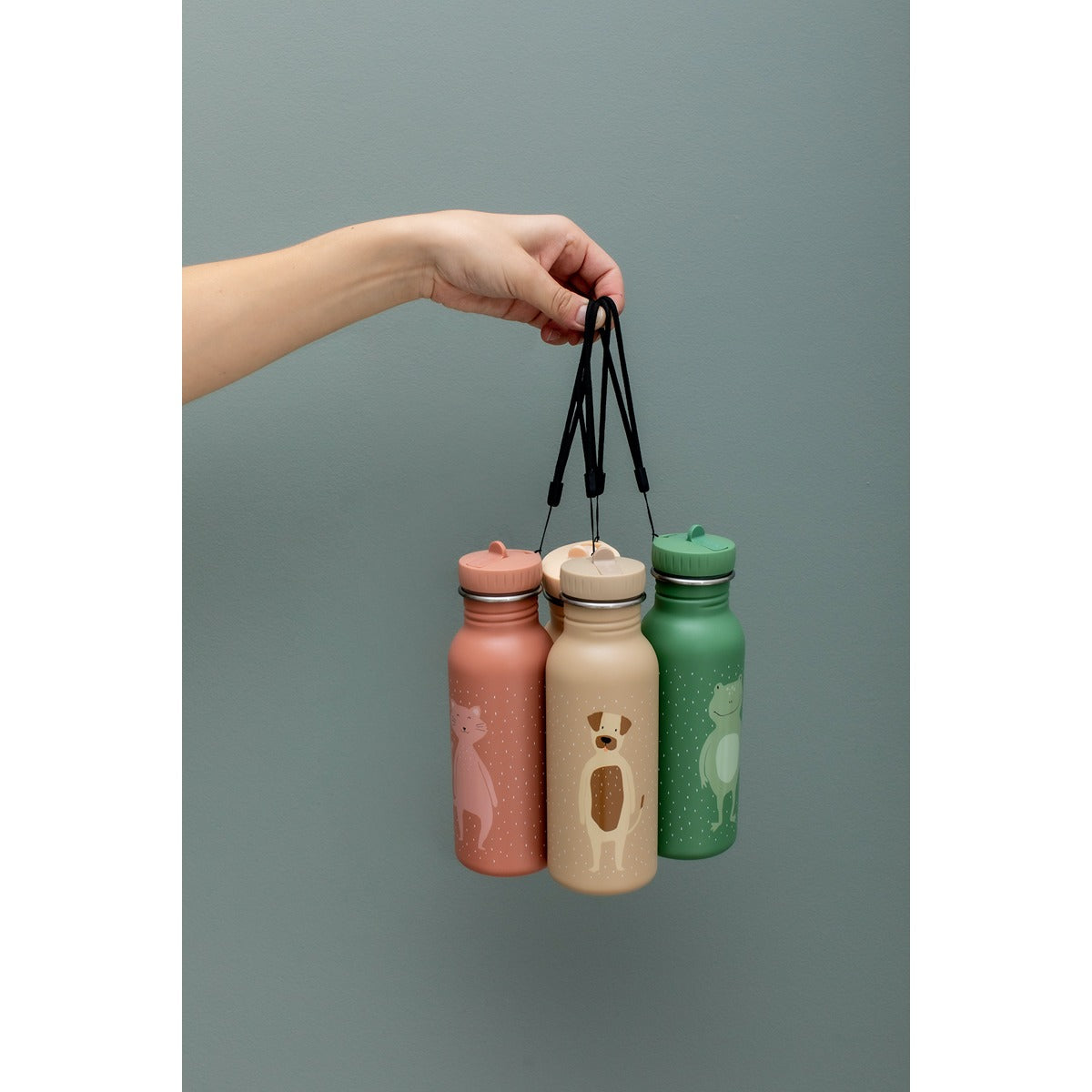 Trixie Bottle (500ml) Mr. Dog