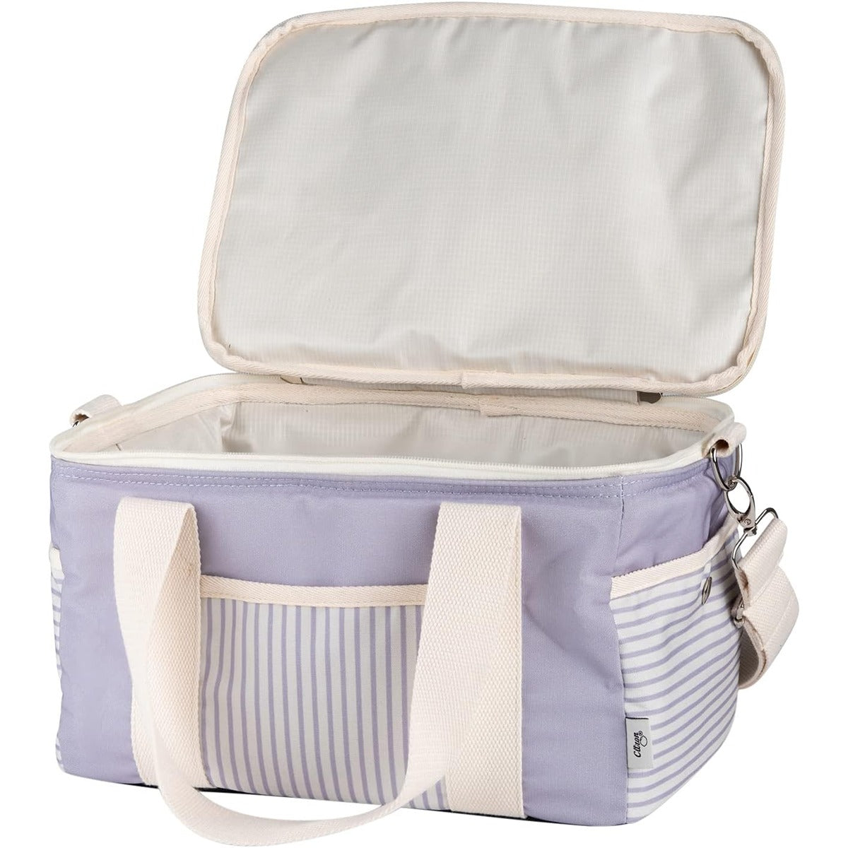 Citron 2022 Insulated Picnic Lunchbag