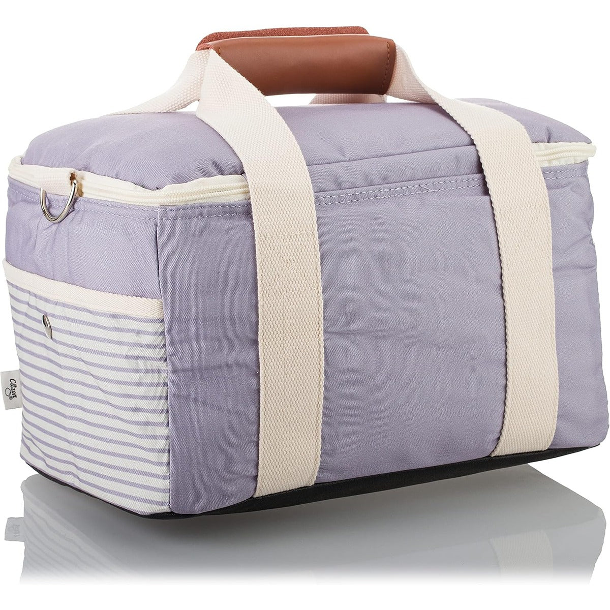 Citron 2022 Insulated Picnic Lunchbag