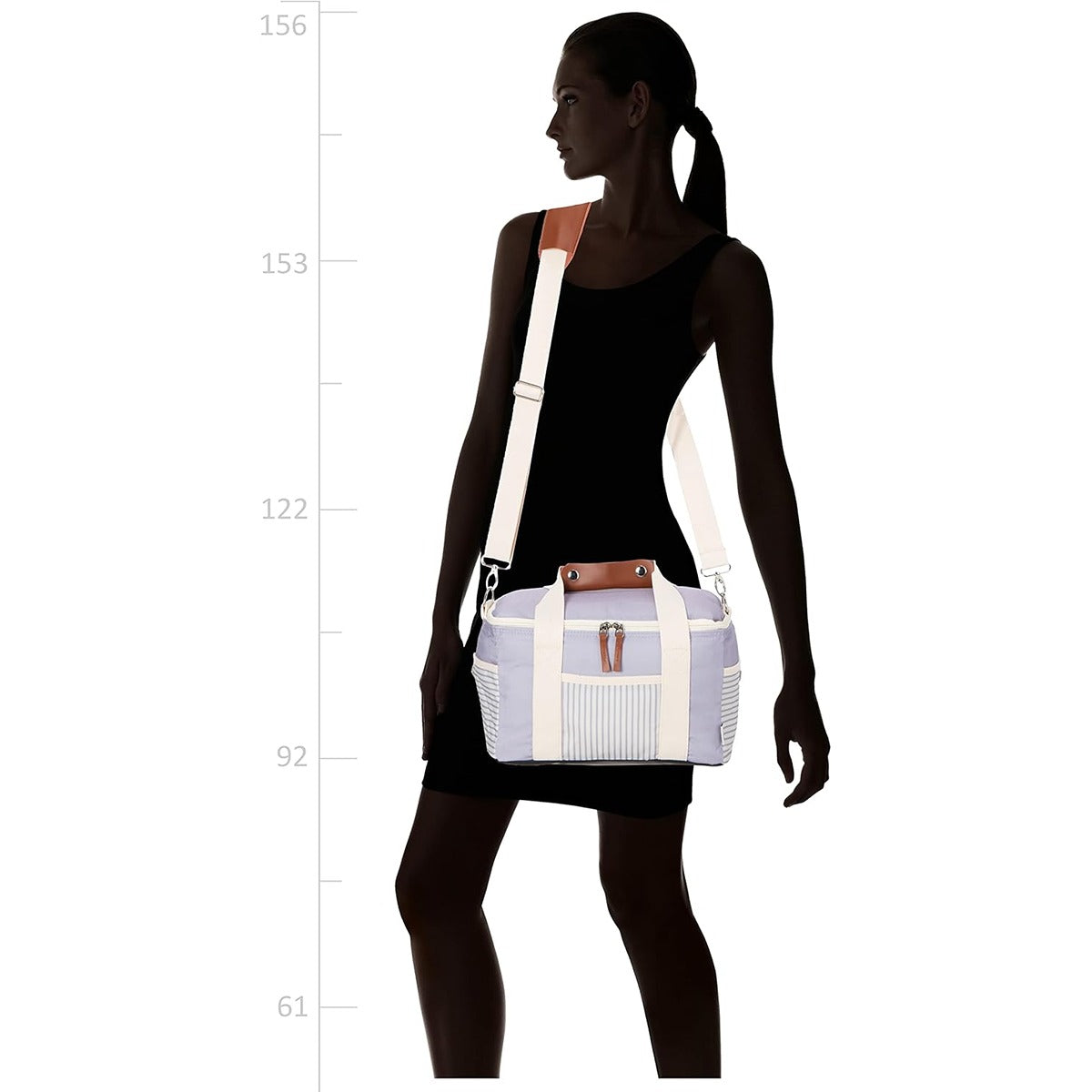 Citron 2022 Insulated Picnic Lunchbag