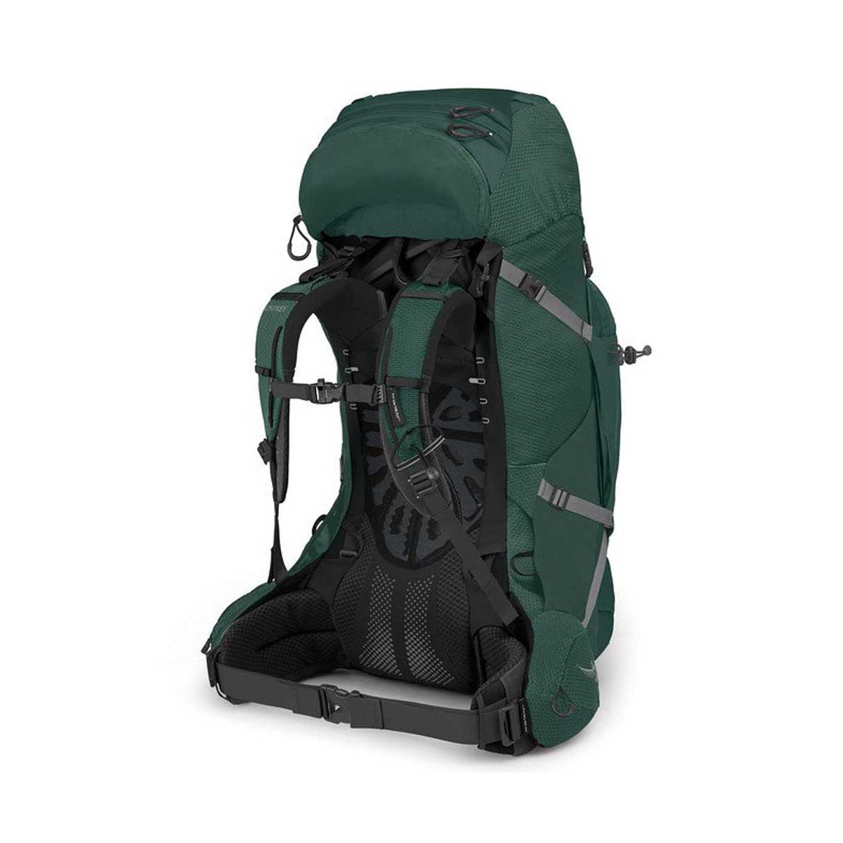 Osprey Aether Plus 70 Backpack Axo Green L/XL