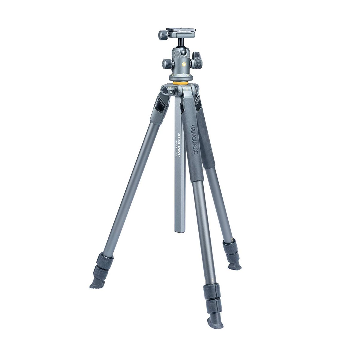 Vanguard Alta Pro 2+ 263Ab 100 Aluminum Tripod