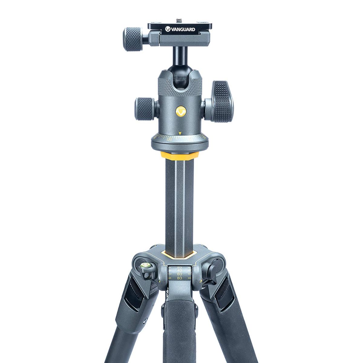 Vanguard Alta Pro 2+ 263Ab 100 Aluminum Tripod