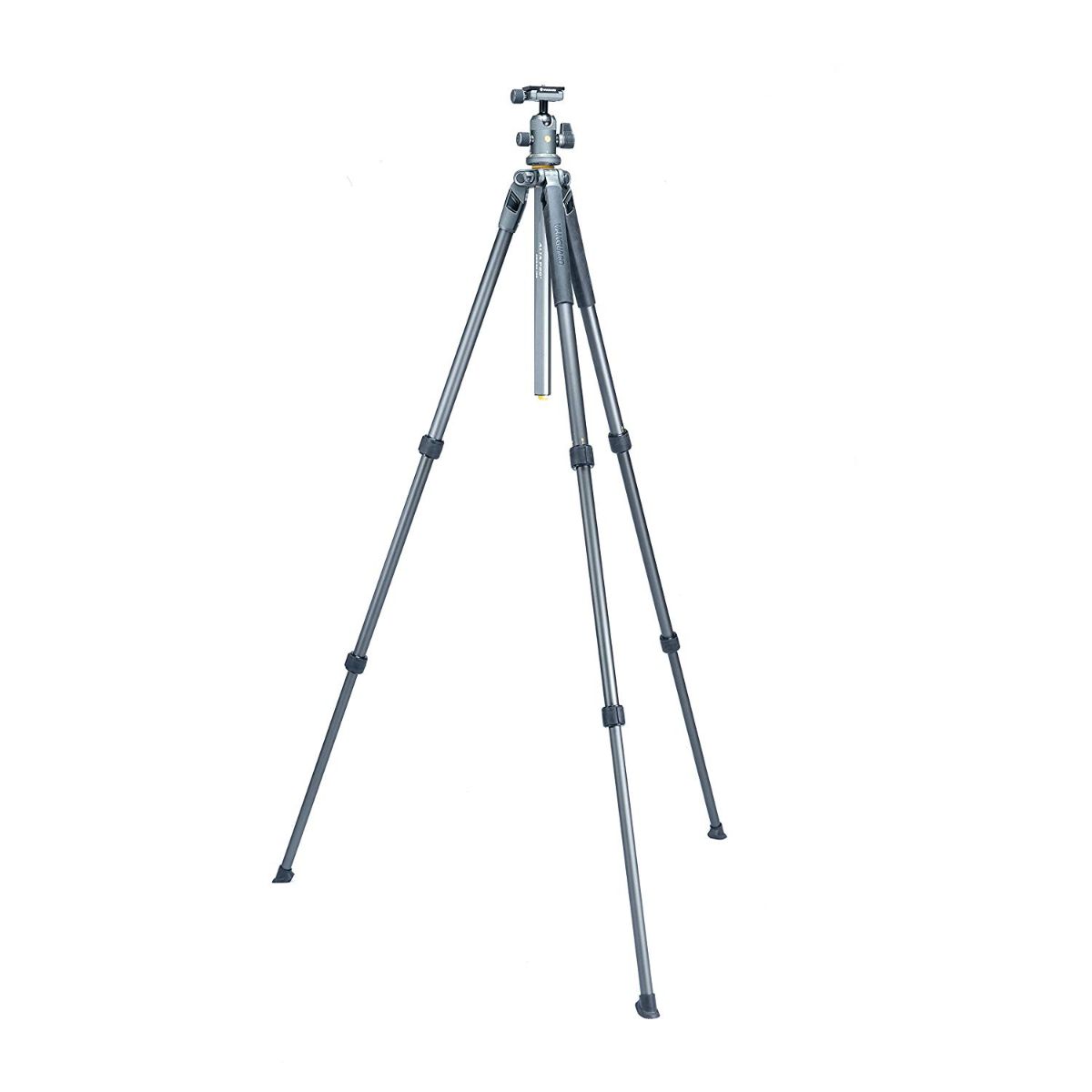 Vanguard Alta Pro 2+ 263Ab 100 Aluminum Tripod