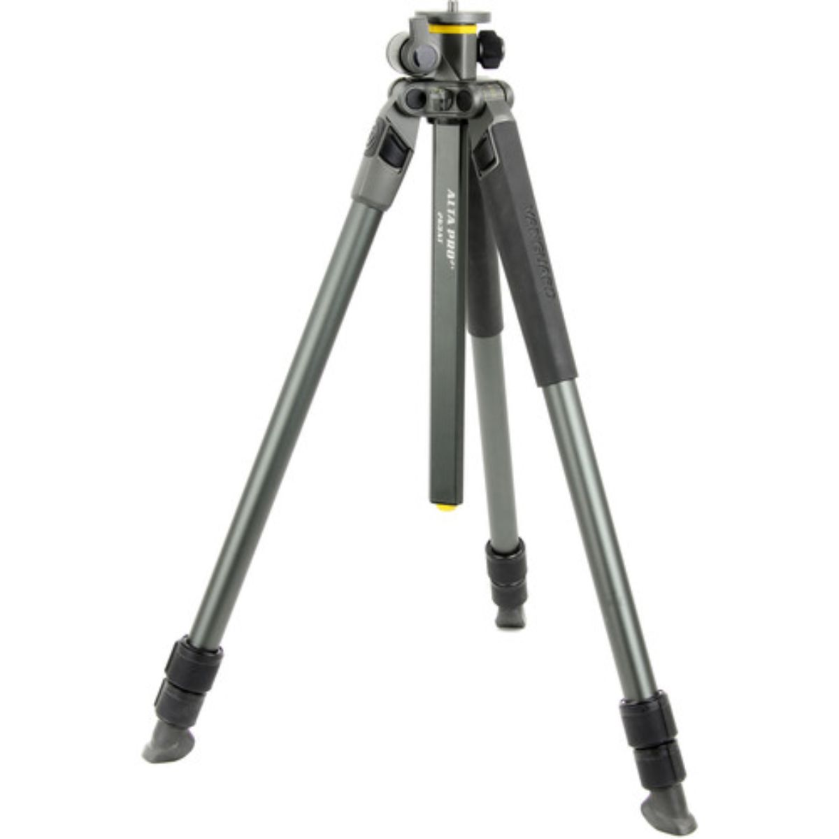 Vanguard Alta Pro 2 + 263At Tripod for Camera