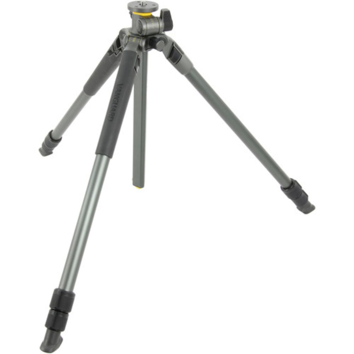 Vanguard Alta Pro 2 + 263At Tripod for Camera