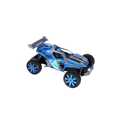 D-Power Ghost Road Hog RC Car | High Speed Buggy for Kids | RTR Remote Control Power Car| 1:10 Scale, 2.4Ghz ? Blue