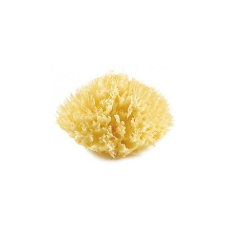 Thermobaby Honeycomb Natural Sponge
