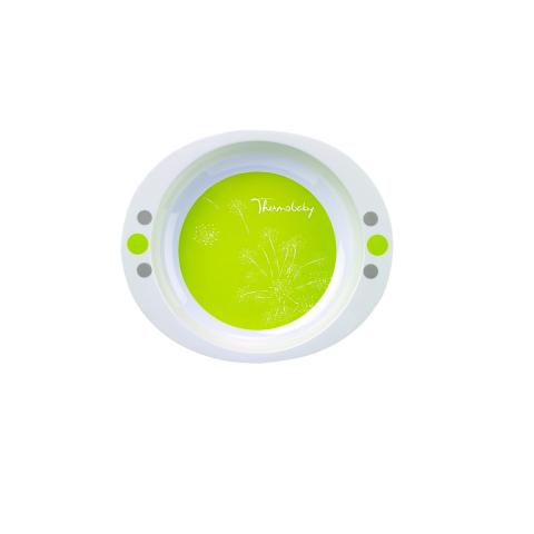 Thermobaby Melamine Plate Green W/ Lip