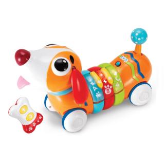 Winfun Baby Toy R/C Rainbow Pup
