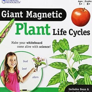 Learning Resources Magnetic Plant Life Cycle