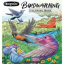 CRAYOLA 40Page Coloring Book Bird Watching in UAE