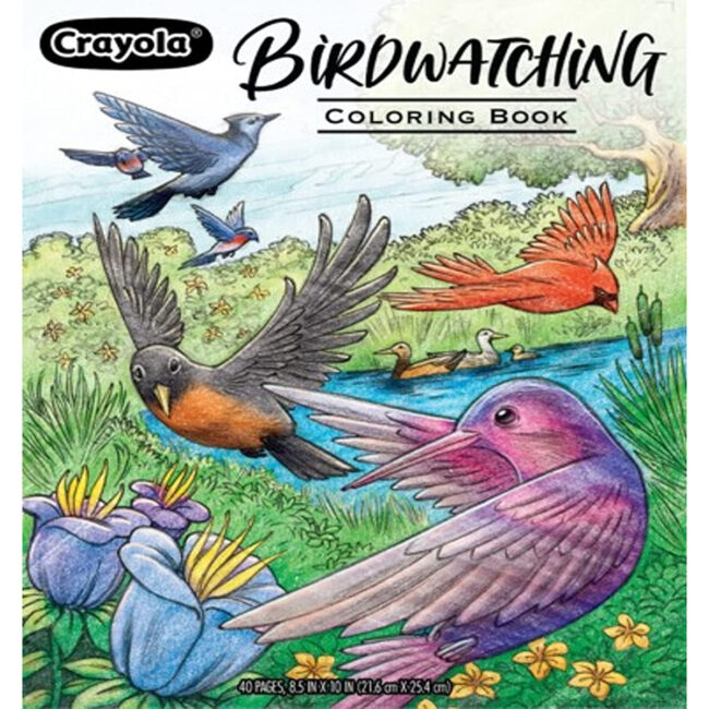 PLS-CY04-1133-01 CRAYOLA 40Page Coloring Book Bird Watching in UAE